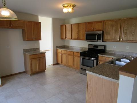 6919 Sahara Dr, Plainfield, IL 60586 photo 5