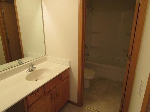 6919 Sahara Dr, Plainfield, IL 60586 photo 16