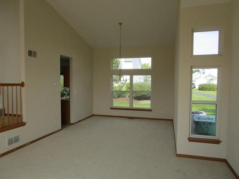 6919 Sahara Dr, Plainfield, IL 60586 photo 3