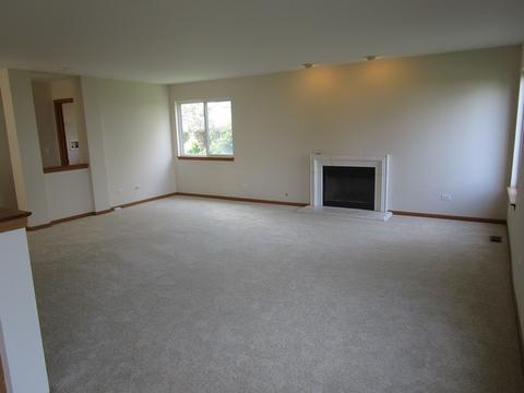 6919 Sahara Dr, Plainfield, IL 60586 photo 8