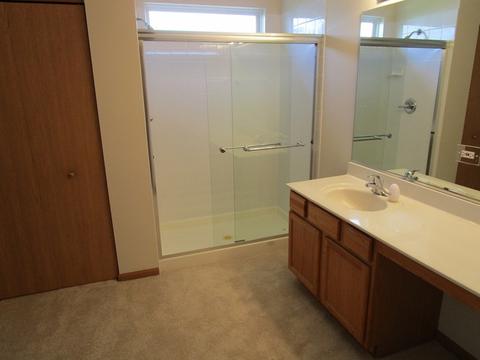 6919 Sahara Dr, Plainfield, IL 60586 photo 13