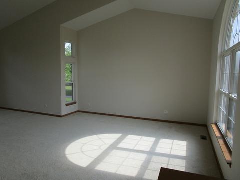 6919 Sahara Dr, Plainfield, IL 60586 photo 2