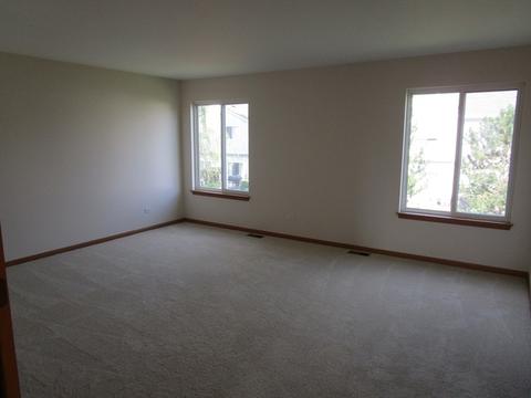 6919 Sahara Dr, Plainfield, IL 60586 photo 12