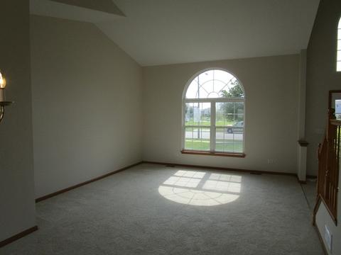 6919 Sahara Dr, Plainfield, IL 60586 photo 4
