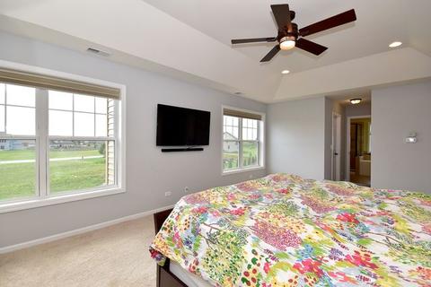 25317 Portage Ct, Plainfield, IL 60544 photo 22