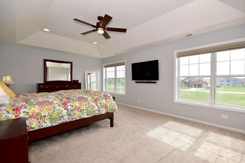 25317 Portage Ct, Plainfield, IL 60544 photo 21