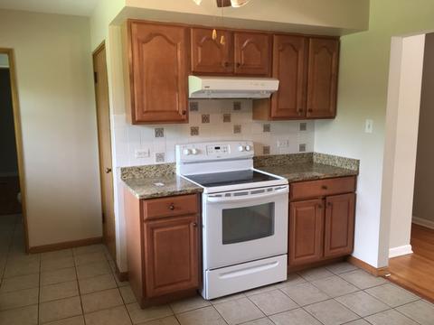 403 E Park Ave, Elmhurst, IL 60126 photo 7