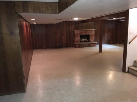 403 E Park Ave, Elmhurst, IL 60126 photo 13