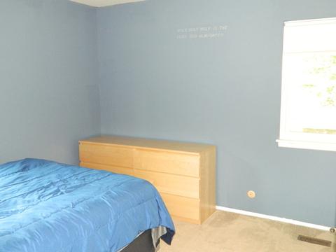 900 Carl Ave, Elgin, IL 60120 photo 12