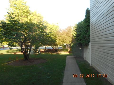 1016 E Thacker St, Schaumburg, IL 60173 photo 5