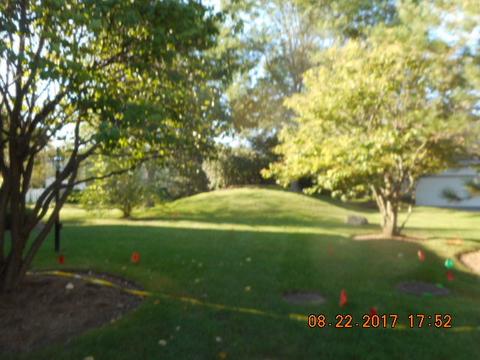 1016 E Thacker St, Schaumburg, IL 60173 photo 3