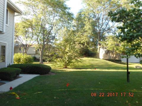1016 E Thacker St, Schaumburg, IL 60173 photo 4
