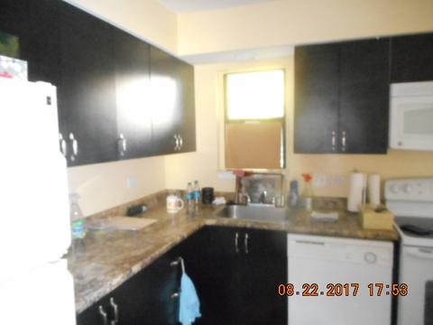 1016 E Thacker St, Schaumburg, IL 60173 photo 9
