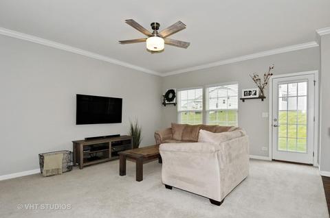 12838 Blue Spruce Dr, Plainfield, IL 60585 photo 3