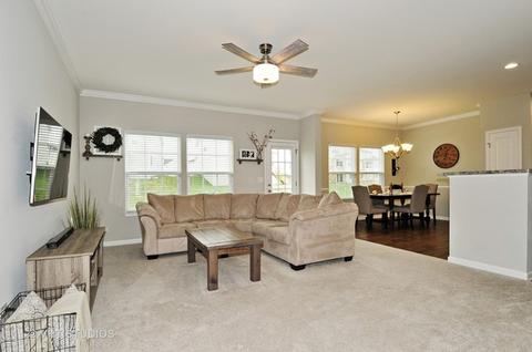 12838 Blue Spruce Dr, Plainfield, IL 60585 photo 2