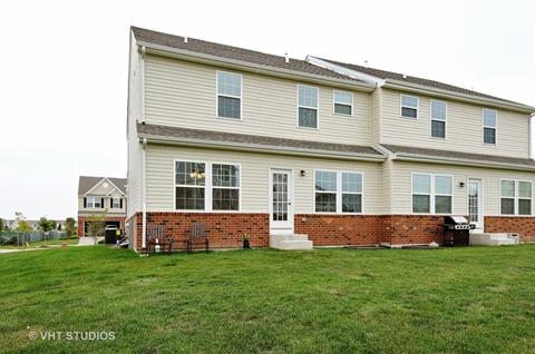 12838 Blue Spruce Dr, Plainfield, IL 60585 photo 15