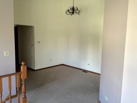 2311 Olde Mill Road South W #2311, Plainfield, IL 60586 photo 9