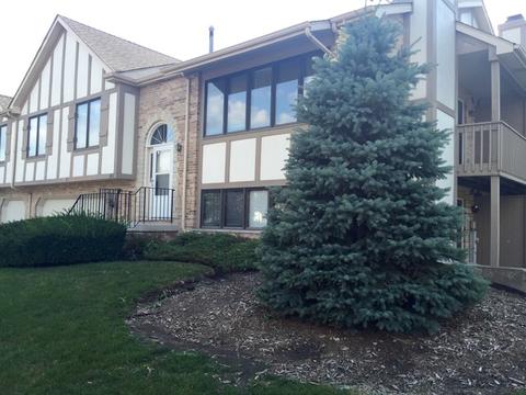 2311 Olde Mill Road South W #2311, Plainfield, IL 60586 photo 1