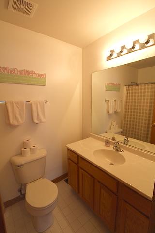 28810 W Pondview Dr, Lakemoor, IL 60051 photo 10
