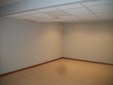 1456 Sedge Pass, Minooka, IL 60447 photo 19