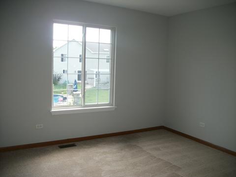 1456 Sedge Pass, Minooka, IL 60447 photo 12