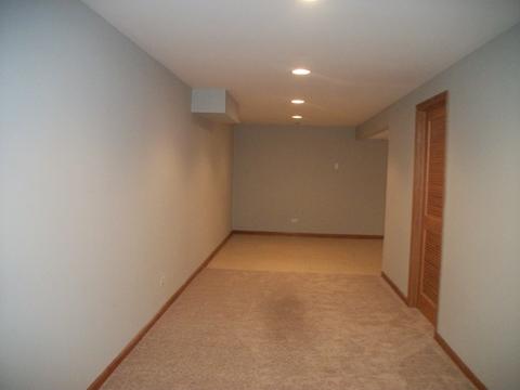 1456 Sedge Pass, Minooka, IL 60447 photo 20