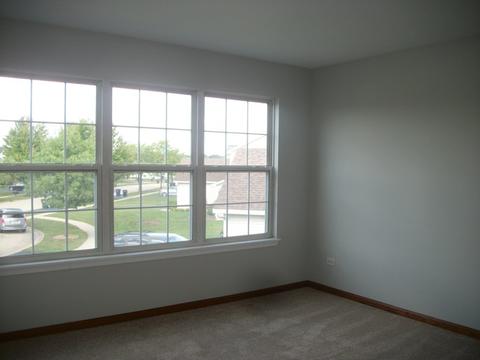 1456 Sedge Pass, Minooka, IL 60447 photo 10