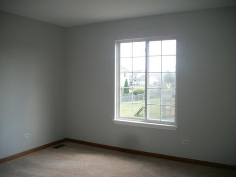 1456 Sedge Pass, Minooka, IL 60447 photo 11
