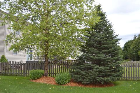 1491 Richmond Ln, Algonquin, IL 60102 photo 25