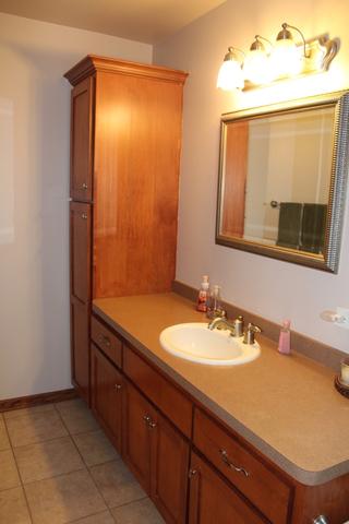 321 Maple St, Beecher, IL 60401 photo 27