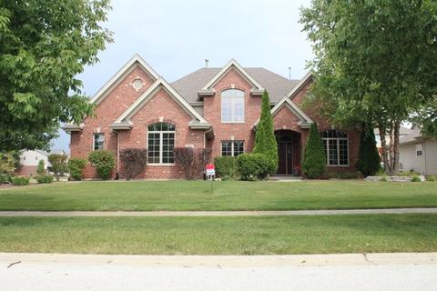 321 Maple St, Beecher, IL 60401 photo 1