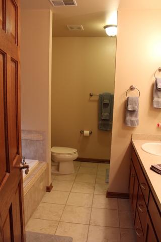 321 Maple St, Beecher, IL 60401 photo 25