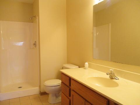 3062 W 163rd St, Markham, IL 60428 photo 9
