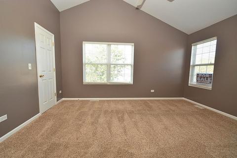 24243 Leski Ln, Plainfield, IL 60585 photo 22