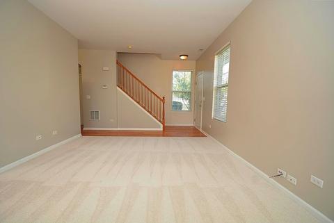 24243 Leski Ln, Plainfield, IL 60585 photo 3