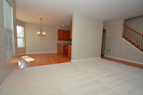 24243 Leski Ln, Plainfield, IL 60585 photo 7