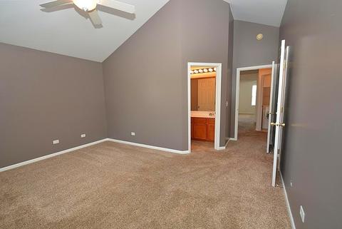 24243 Leski Ln, Plainfield, IL 60585 photo 21