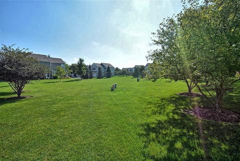 24243 Leski Ln, Plainfield, IL 60585 photo 24