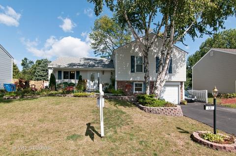 131 E Mcclellan St, Bartlett, IL 60103 photo 1