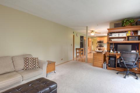500 Fall Cir, Roselle, IL 60172 photo 19