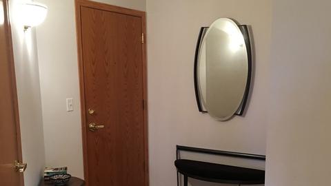 1477 E Thacker St #508, Des Plaines, IL 60016 photo 3