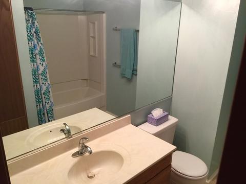 305 Gregory St, Aurora, IL 60504 photo 12