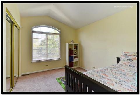 2067 Spice Cir, Naperville, IL 60565 photo 29