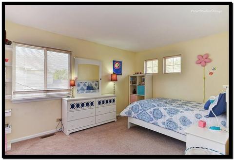 2067 Spice Cir, Naperville, IL 60565 photo 27