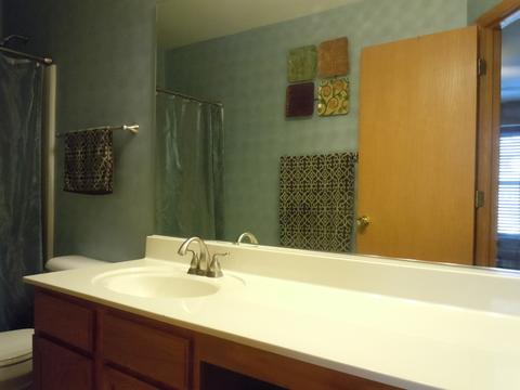 5120 Edgewater Ct, Plainfield, IL 60586 photo 17