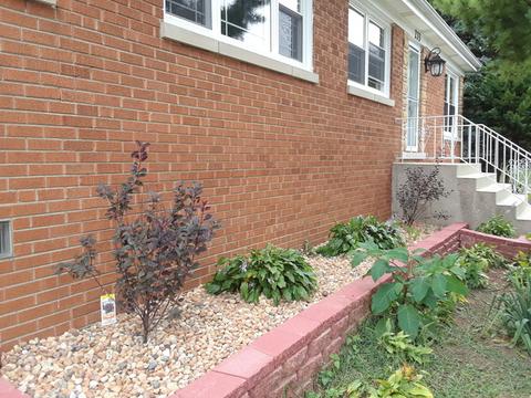233 Howard Ave, Hillside, IL 60162 photo 4
