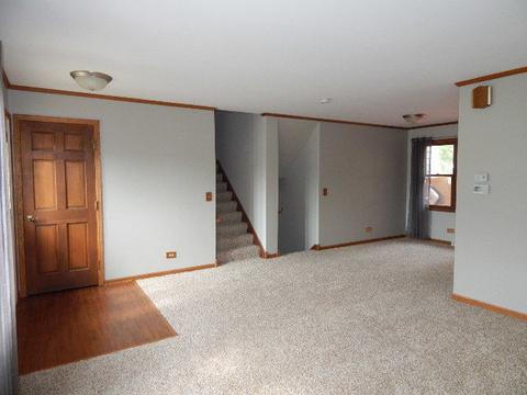 16341 S George Ct, Plainfield, IL 60586 photo 3
