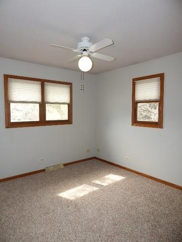 16341 S George Ct, Plainfield, IL 60586 photo 15