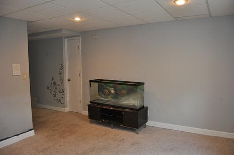 5109 Brighton Ln, Plainfield, IL 60586 photo 44