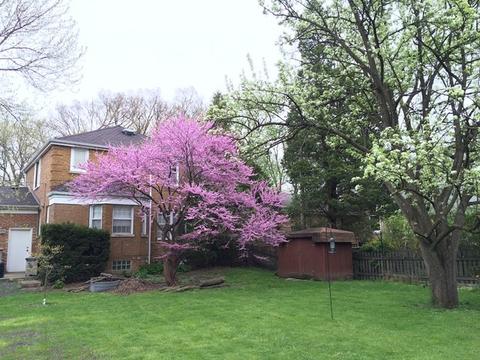 450 Uvedale Ct, Riverside, IL 60546 photo 24